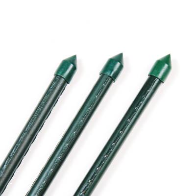 Pflanzstab / Rankhilfe grün kunststoffbeschichtet - 11 x 800 mm - 1